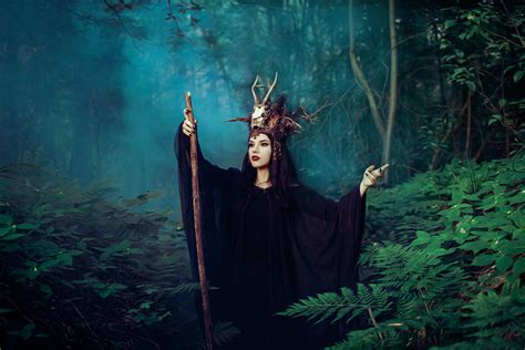 The witch of woodlandd